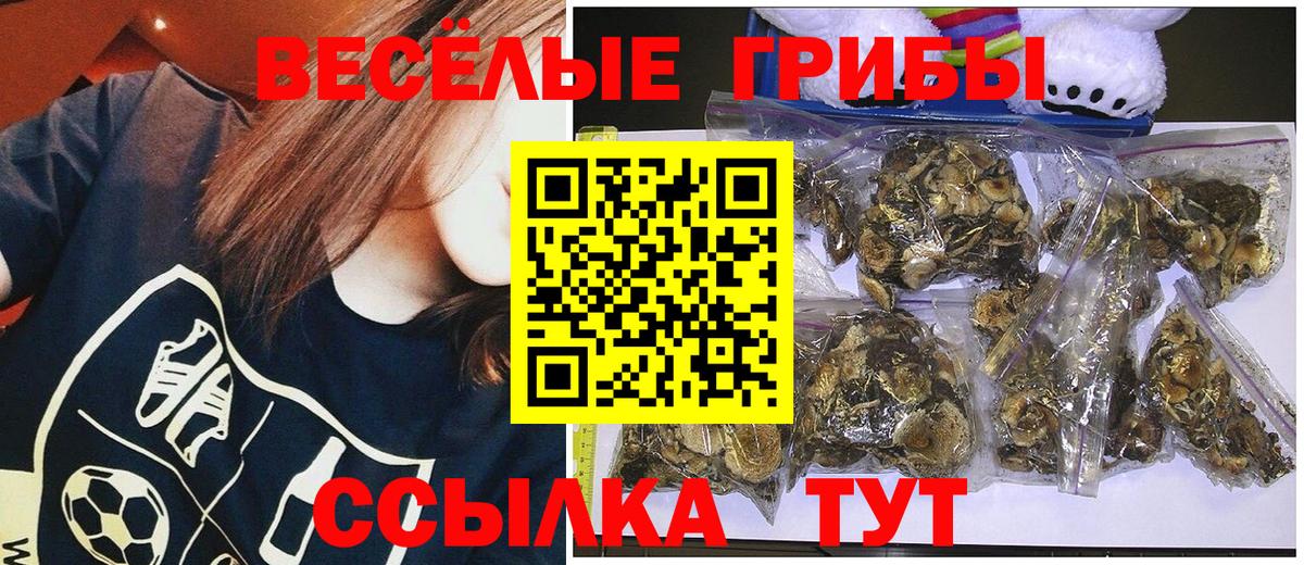 Галлюциногенные грибы Cubensis Менделеевск