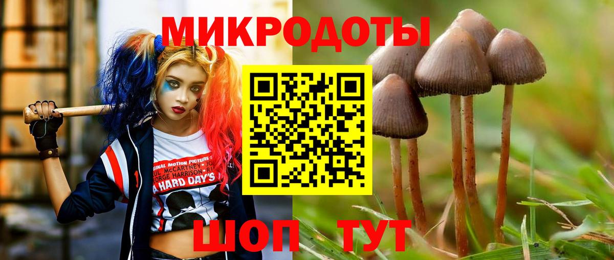 Галлюциногенные грибы мицелий  Вход с VPN  Менделеевск 